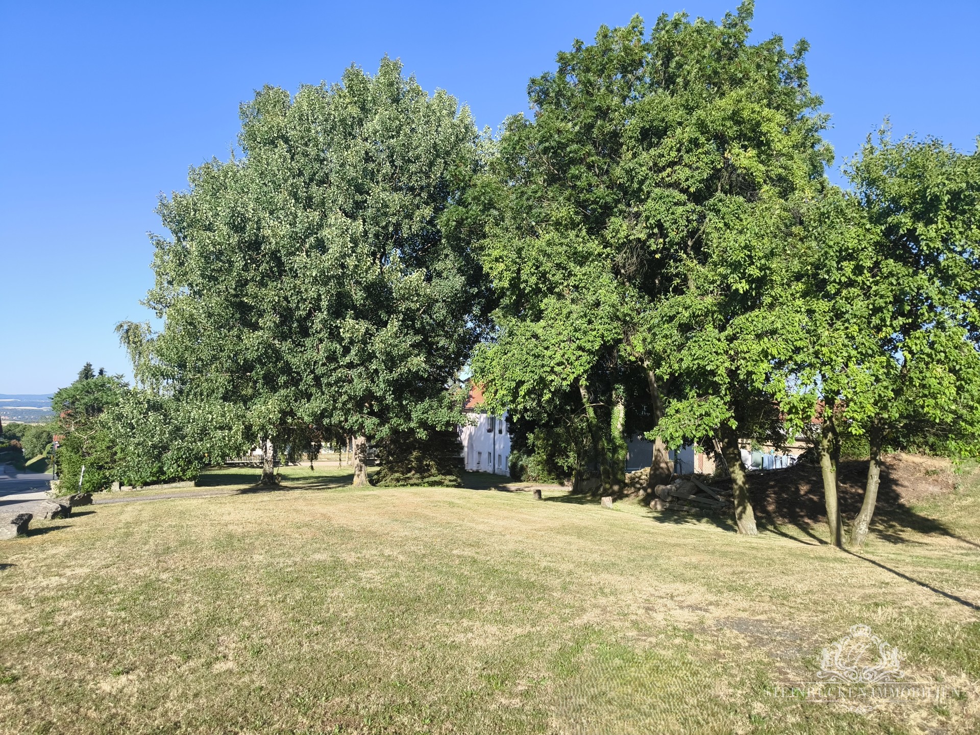 Freifläche-Garten