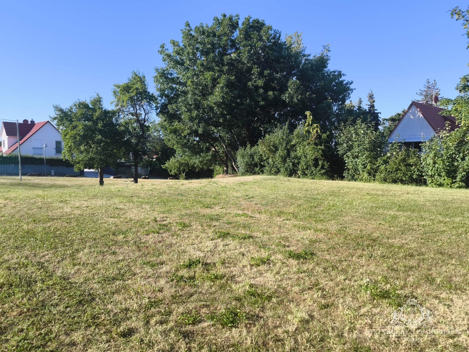 Freifläche-Garten