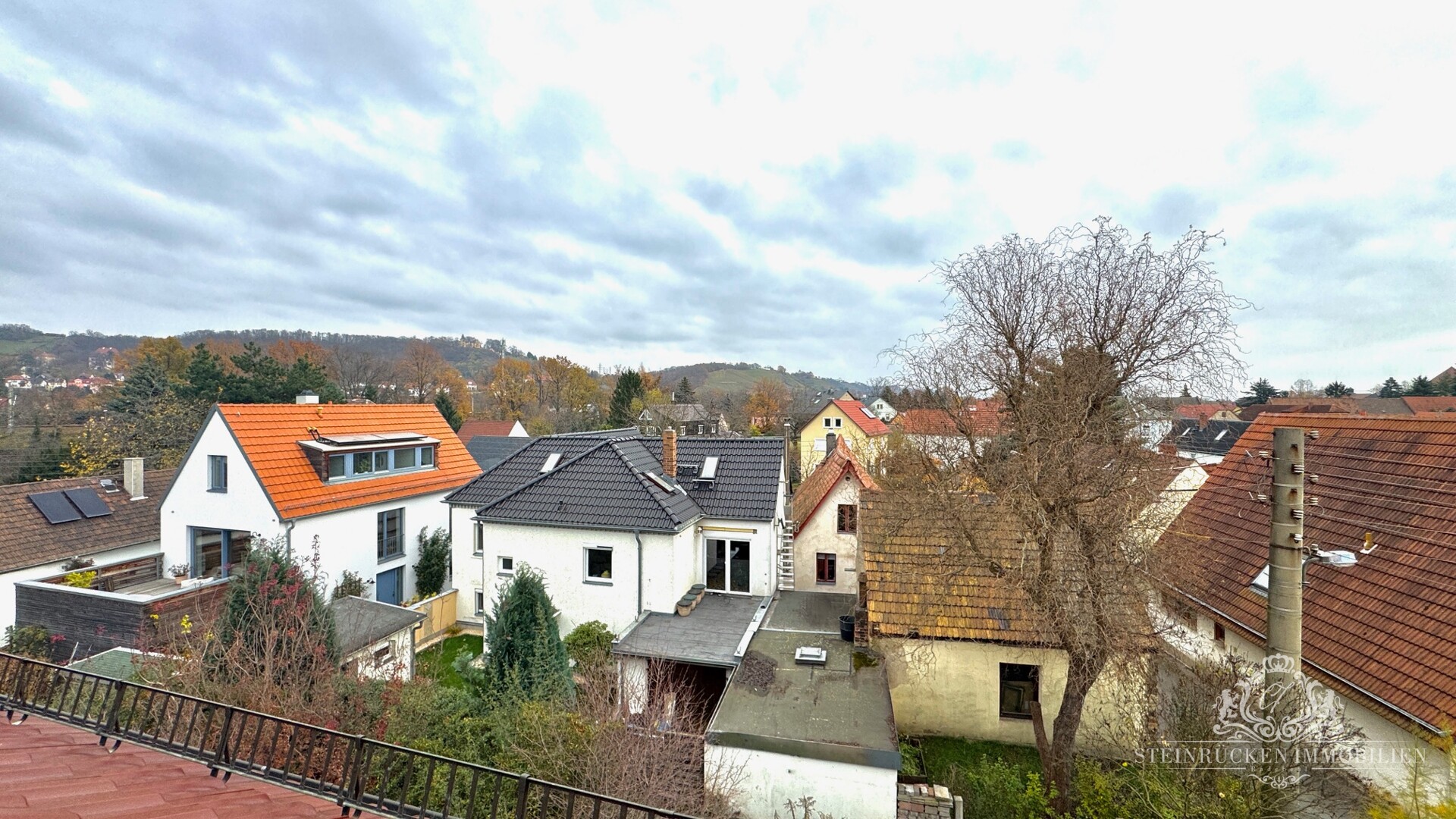 Aussicht in die Radebeuler Weinberge