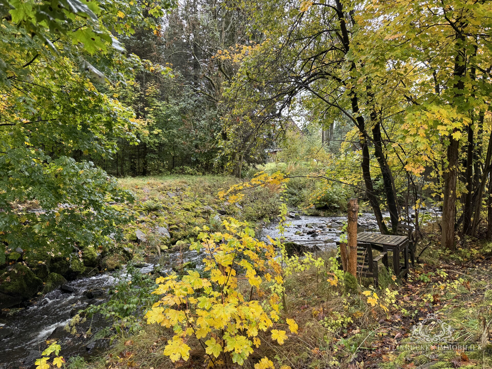 Garten mit Blick auf den Bach