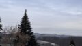 Ausblick