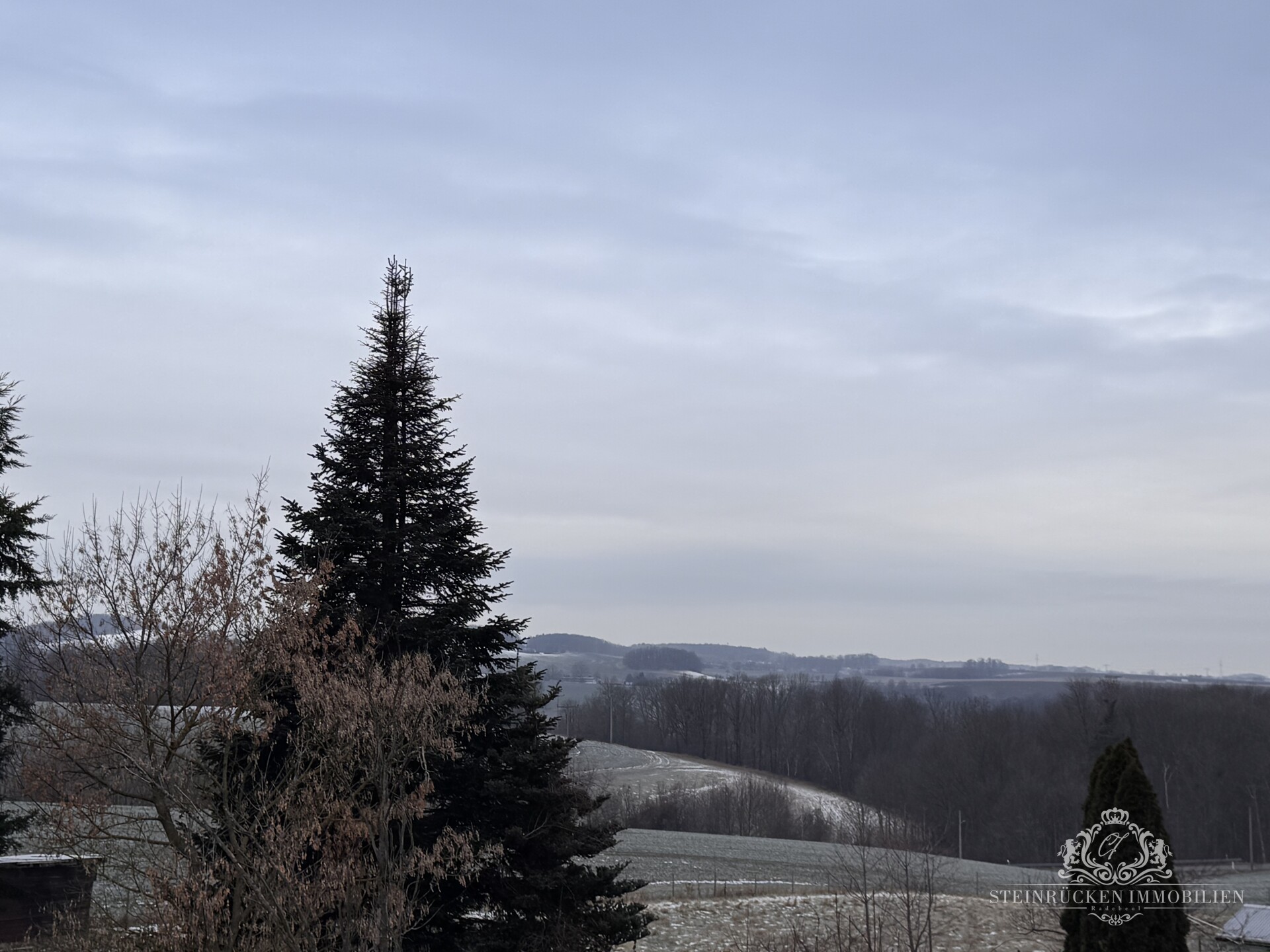 Ausblick