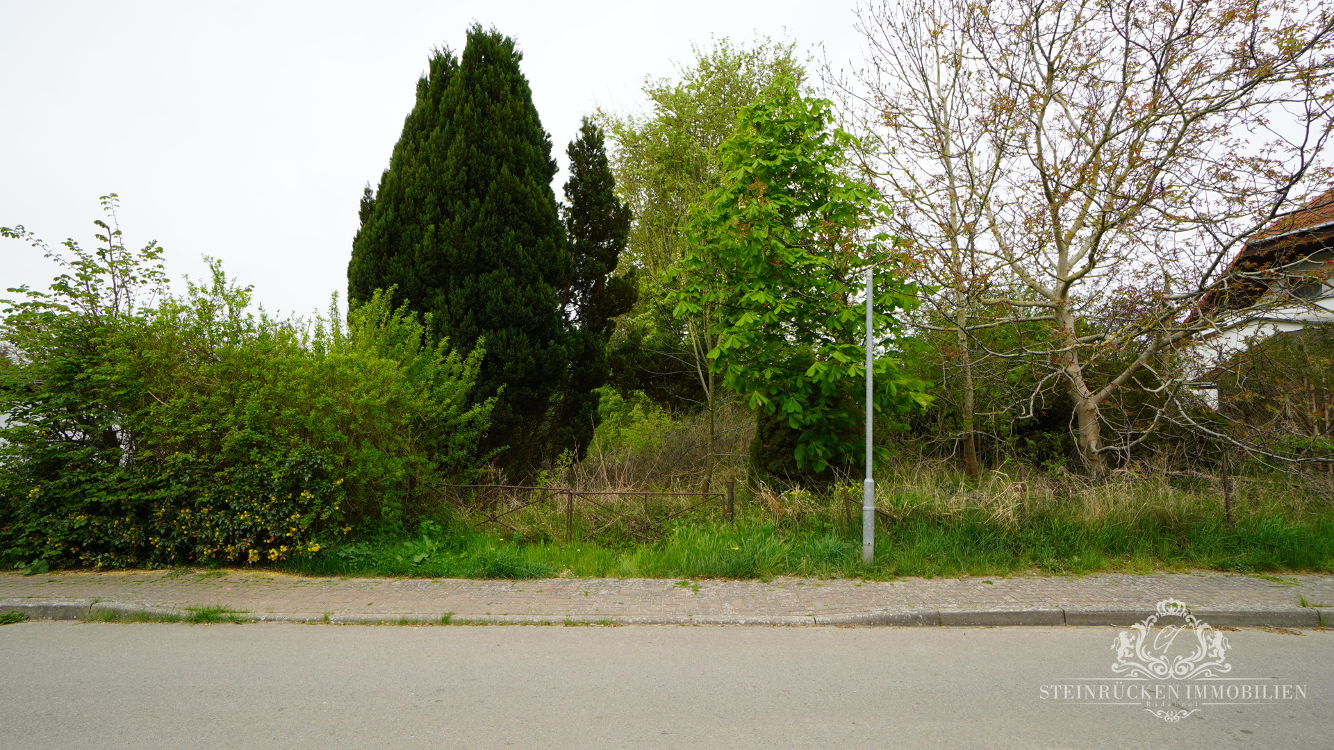 DSC04776