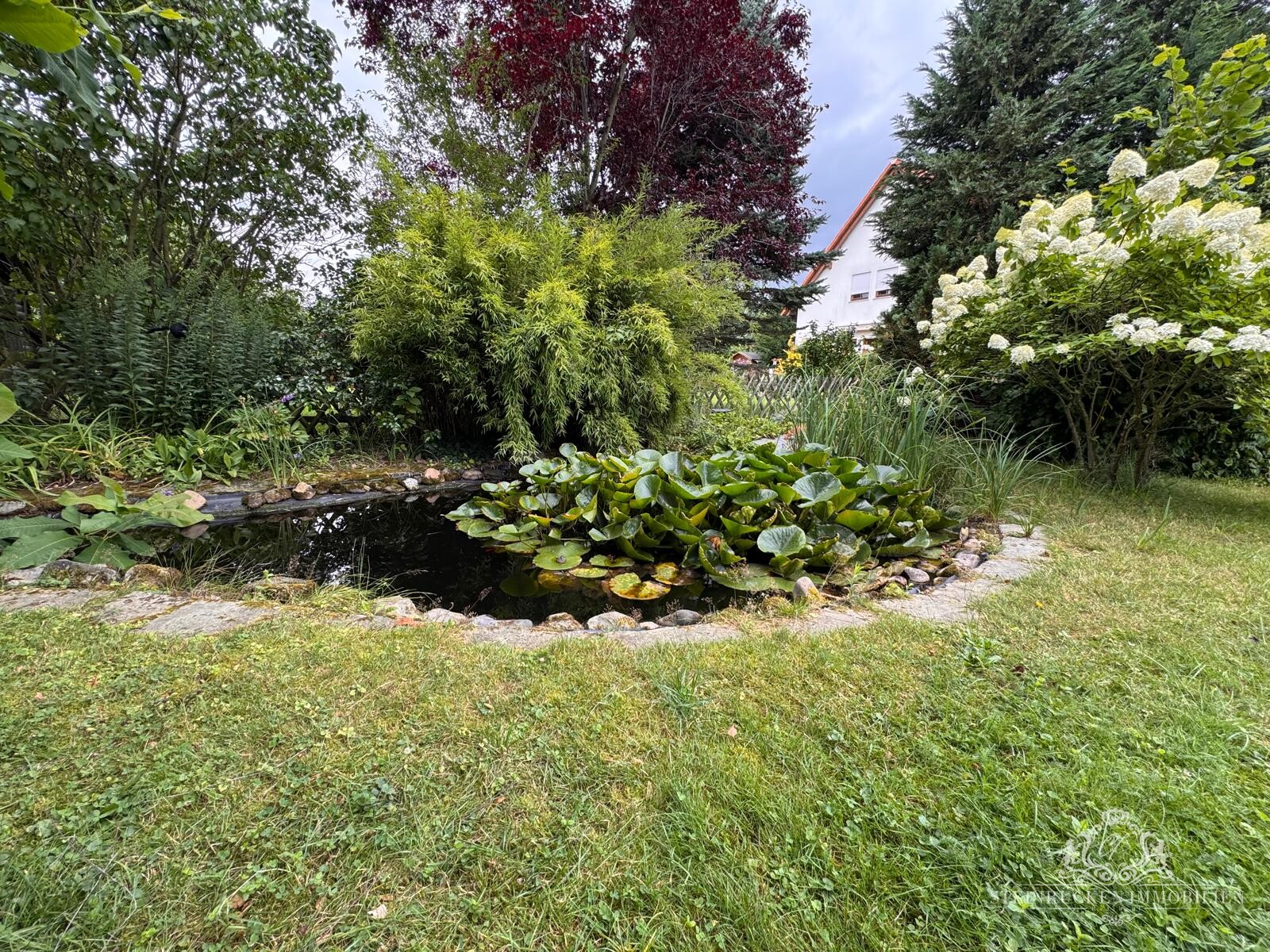 Gartenteich 