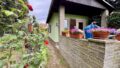 Garten mit Gartenhütte