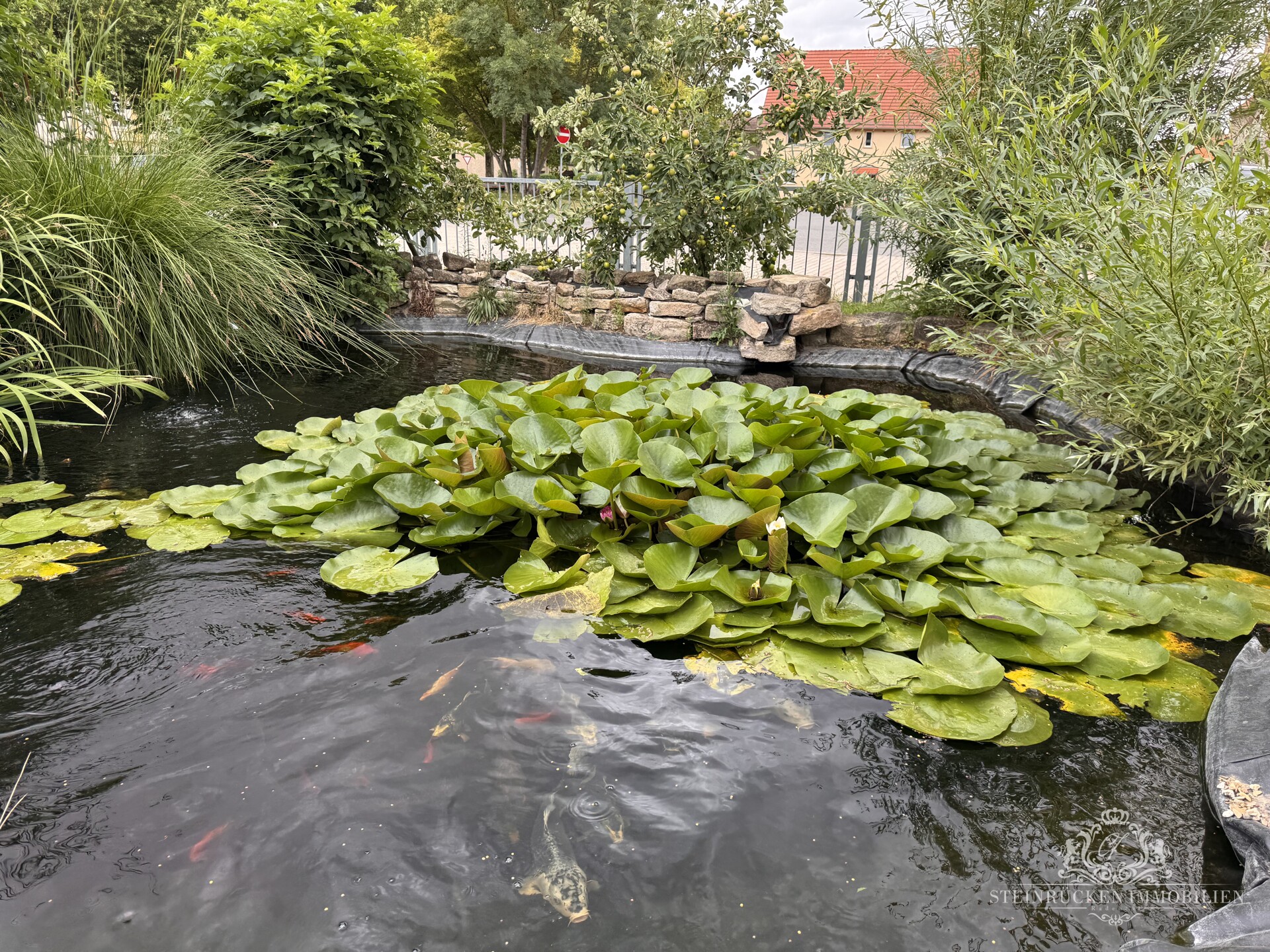 Gartenteich