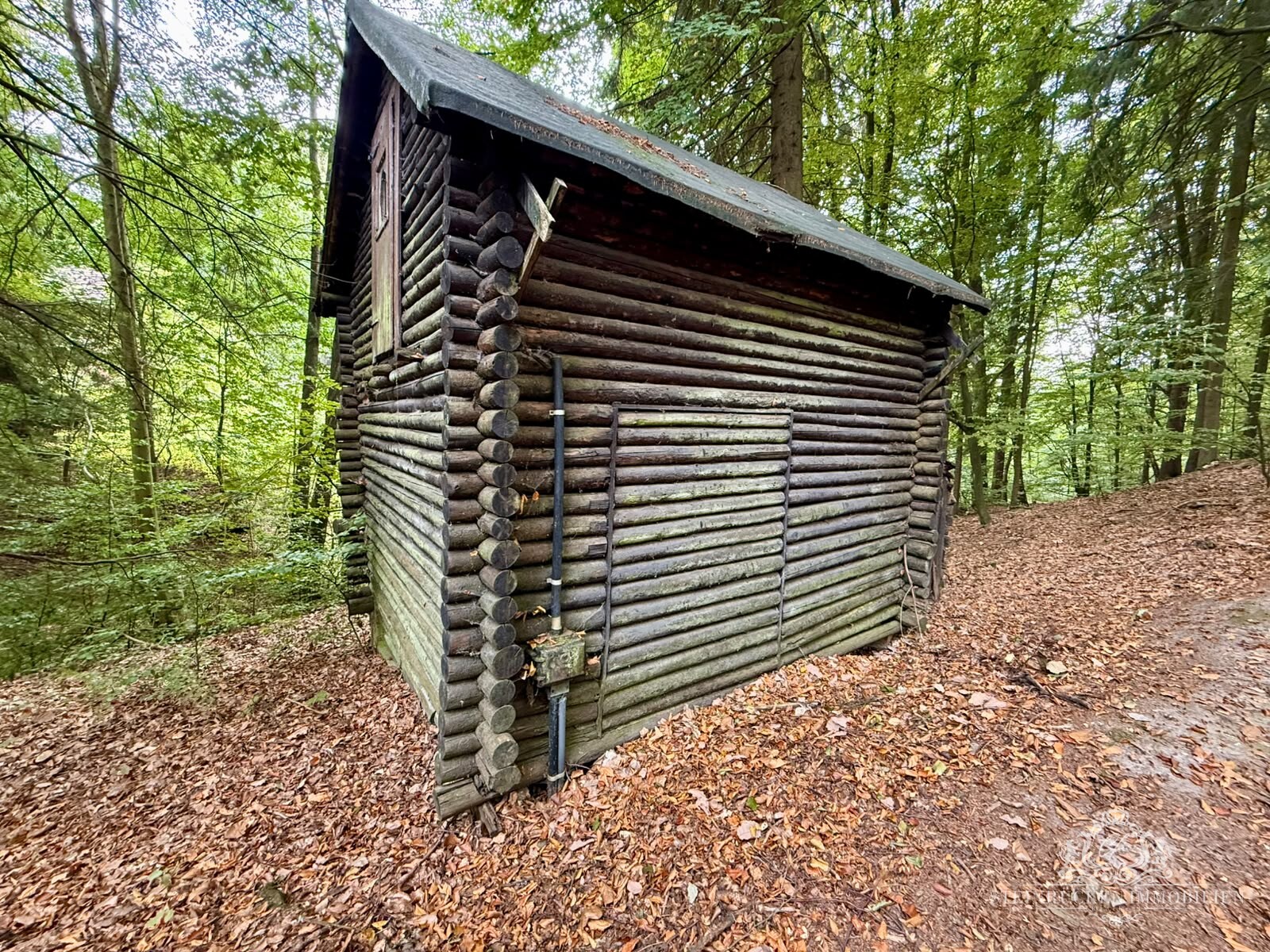 Waldhütte