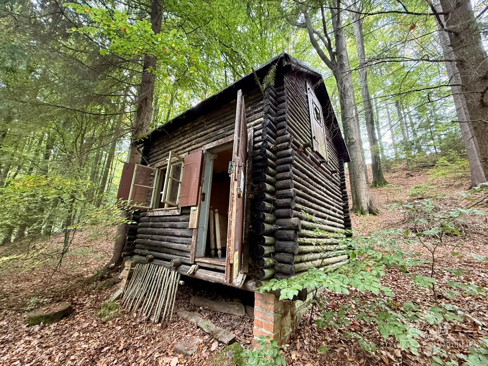 Waldhütte