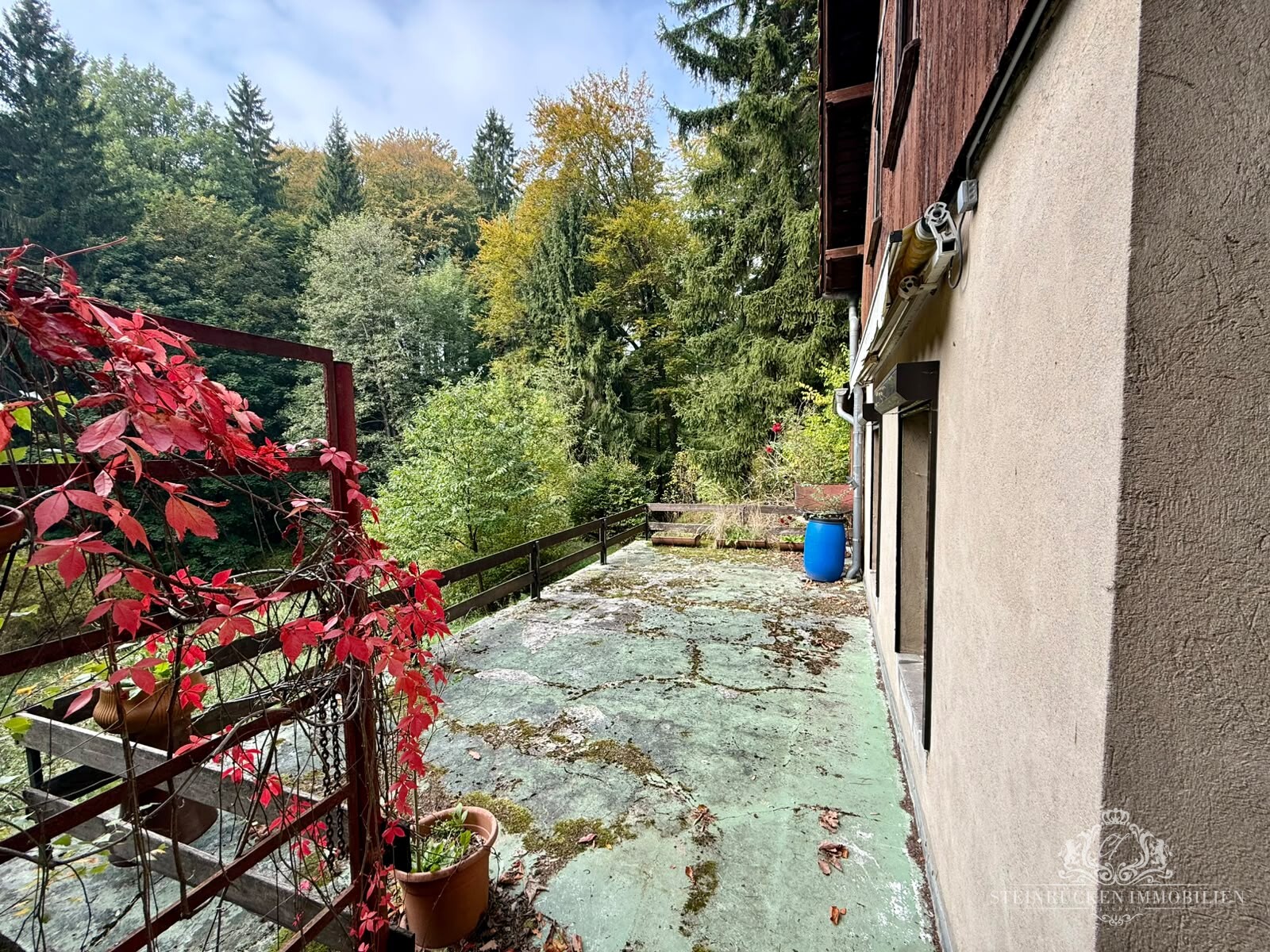 Balkon/Terasse